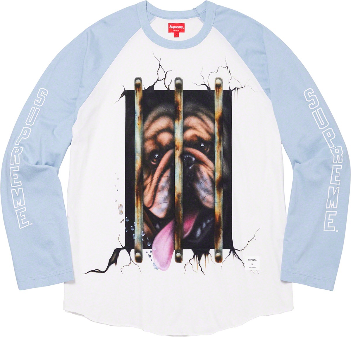 Dog Raglan L/S Top view 2